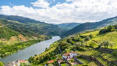 Doura Tal mit Weinbergen