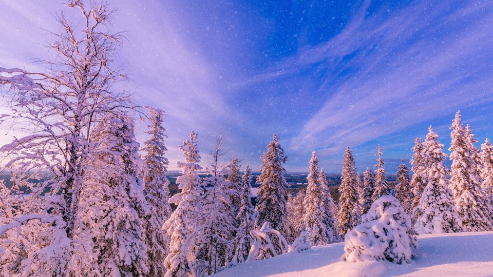 Schneebedeckter Wald und Berge bei Frost