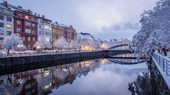 Budweis