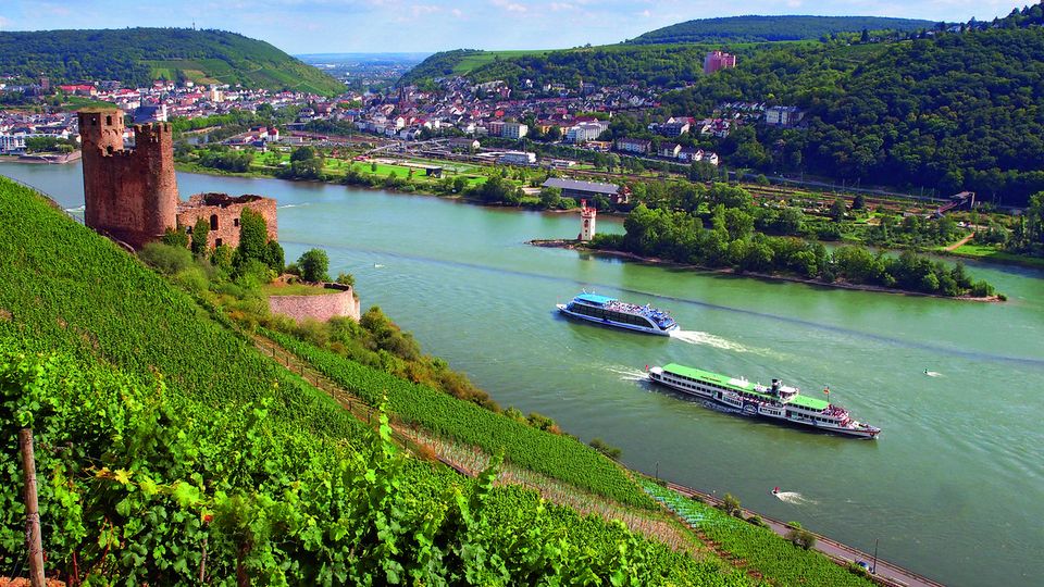 Burg Ehrenfels in Rüdesheim am Rhein