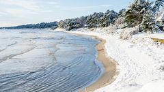 Ostsee im Winter