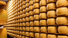 Herstellung von Parmigiano Reggiano