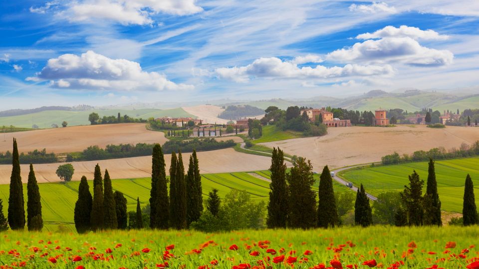Landschaft mit Mohnblumen