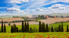 Landschaft mit Mohnblumen