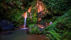 Caldeira Velha auf Sao Miguel, Azoren