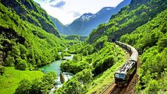 Flambahn Moorten Raake