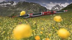 Oberalppass