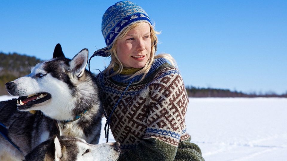 zwei Huskys und ein Mädchen