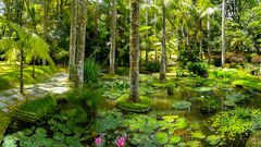 Terra Nostra Garden, Furnas