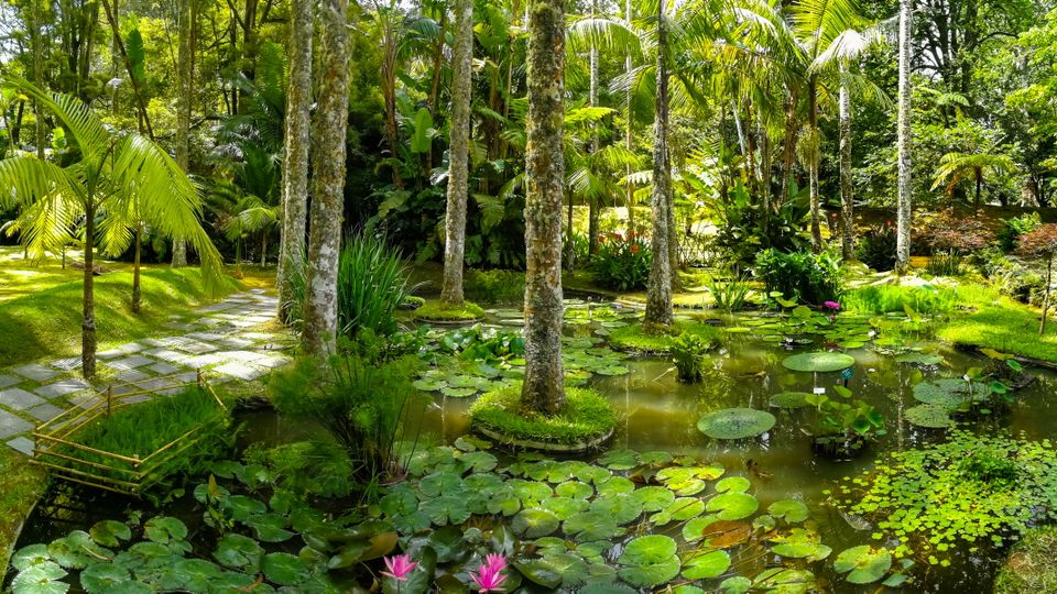 Terra Nostra Garden, Furnas
