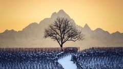 Winter in der Langhe-Region