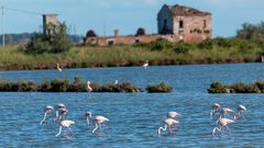 Naturreservat Po-Delta