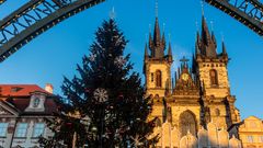 Prag Stadtplatz mit Weihnachtsbaum