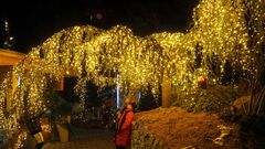 Fotopoint - Weihnachtsportal