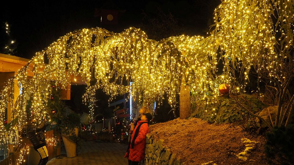 Fotopoint - Weihnachtsportal